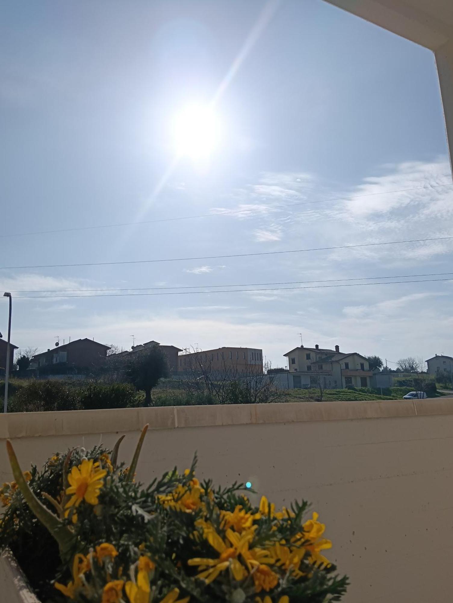 La Principessa Nera B&B Ostra Стая снимка